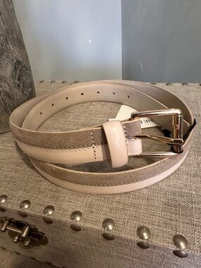 Jason Wu Two-Tone Beige & Suede Leather Belt with Gold Buckle